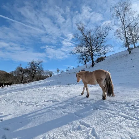 Apartment Am Rabenauer Grund *