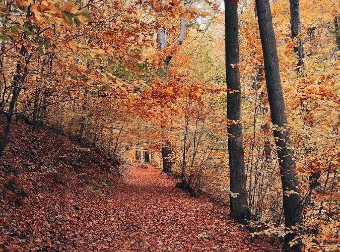 Daire Am Rabenauer Grund Freital