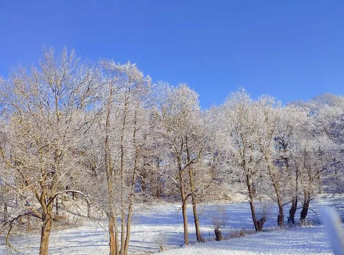 Daire Am Rabenauer Grund *