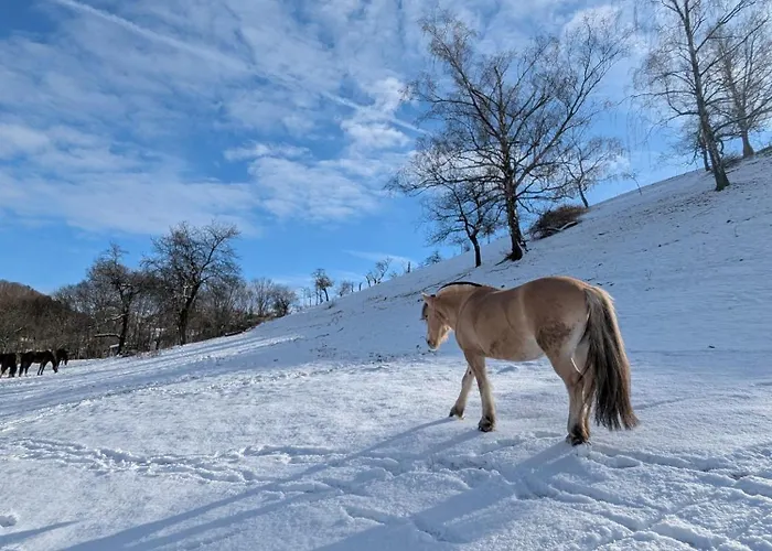 Daire Am Rabenauer Grund *
